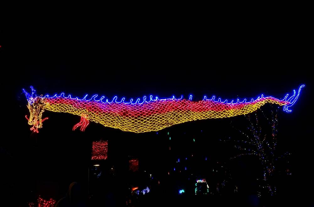 Dragon Zoo Lights